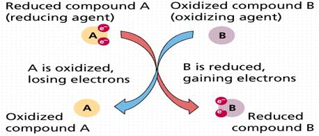 http://safedrinkingwaterdotcom.files.wordpress.com/2012/12/1221-oxidation-reduction.gif